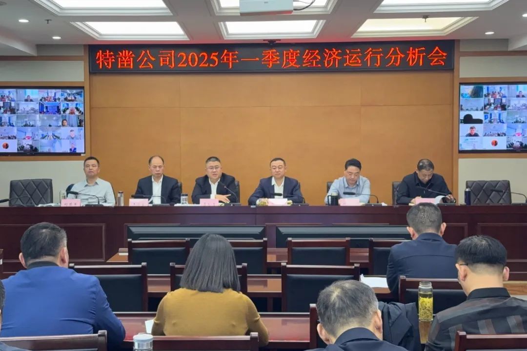 公司2025年第一季度经济运行分析会.JPG